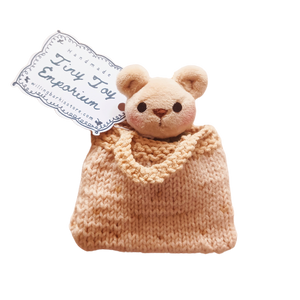 Tiny Teddy in a knitted bag