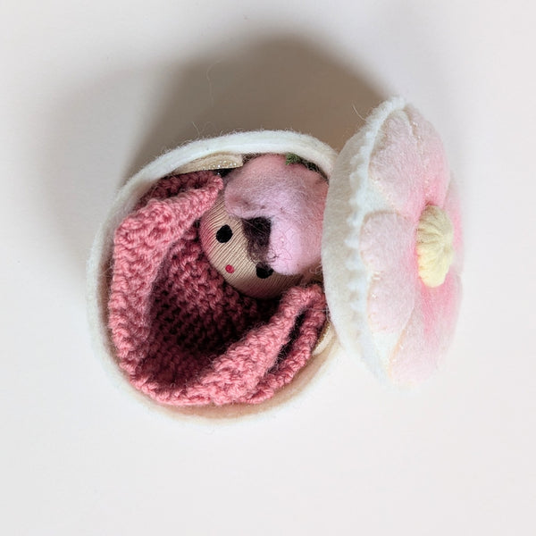 Special Flower Fairy Set