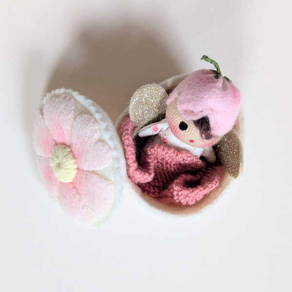 Special Flower Fairy Set