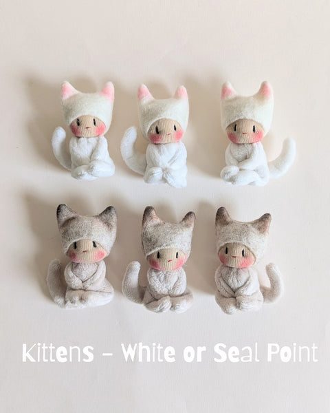 Kittens White or Seal Point