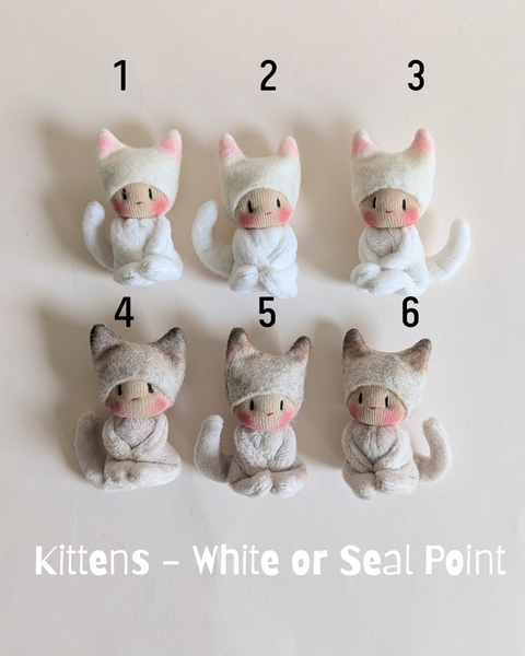 Kittens White or Seal Point