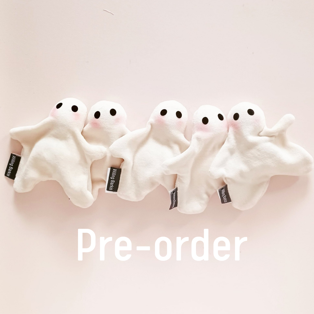 Little Ghosties - Pre Order