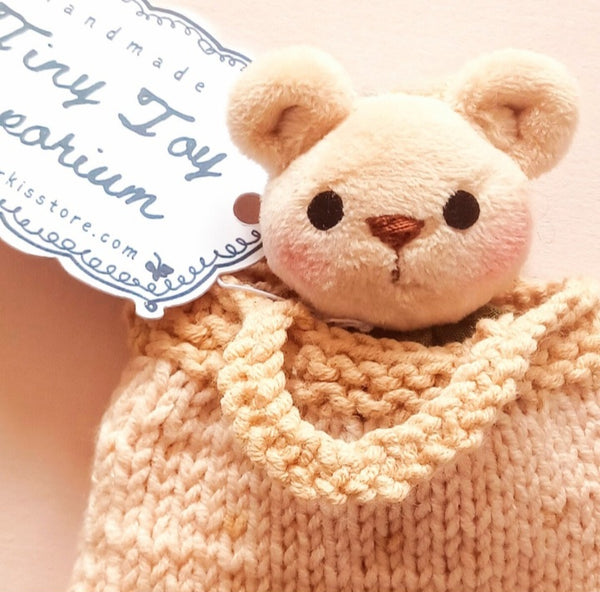 Tiny Teddy in a knitted bag
