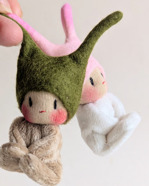 Worry Bugs - Irish Moss (long Antennae)