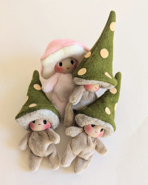 Irish Moss - Gnomes