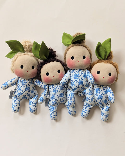 'Forget-me-not' Baby Lucinda