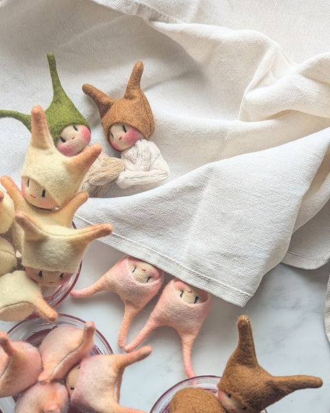 Worry Bugs - Custard Creams