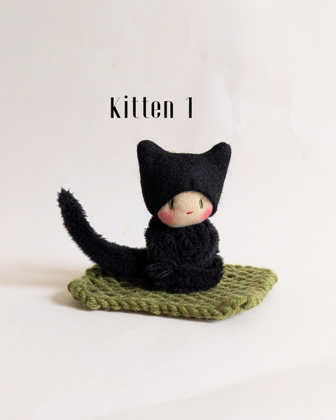 Kittens
