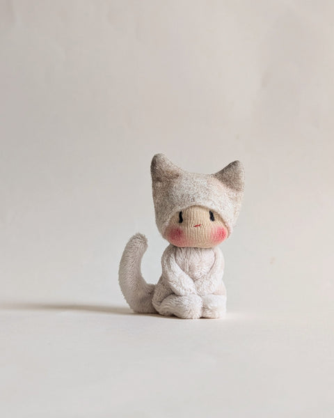 Kittens White or Seal Point