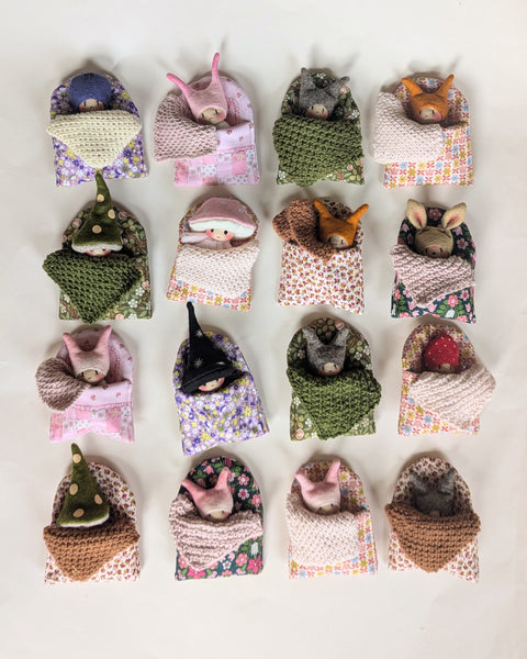 Little Princess -Sleeping Bag Set
