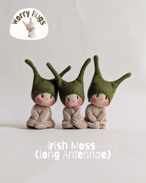 Worry Bugs - Irish Moss (long Antennae)