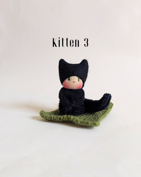 Kittens
