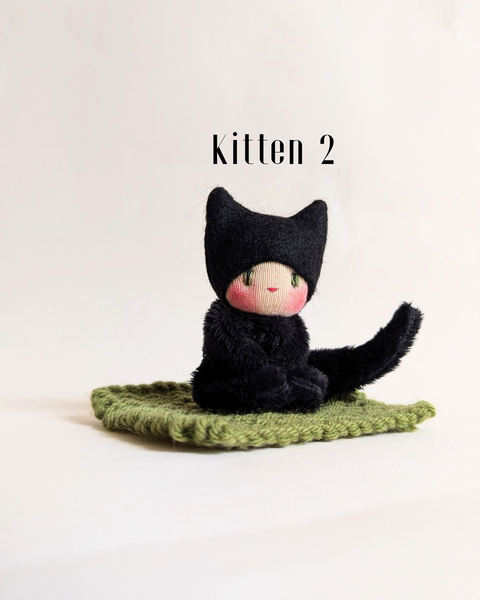 Kittens