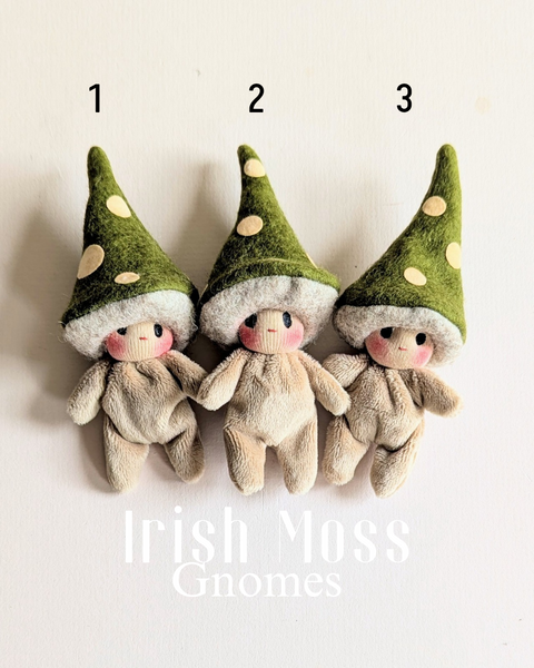 Irish Moss - Gnomes