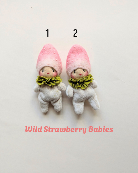 Wild Strawberry Babies