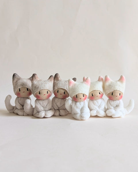 Kittens White or Seal Point