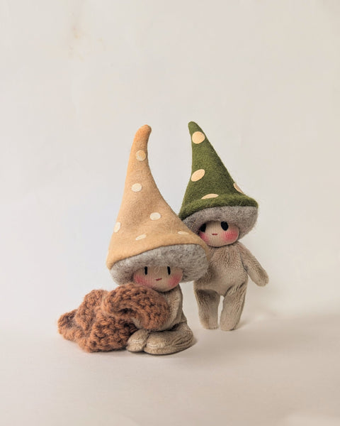 Irish Moss - Gnomes