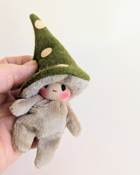 Irish Moss - Gnomes